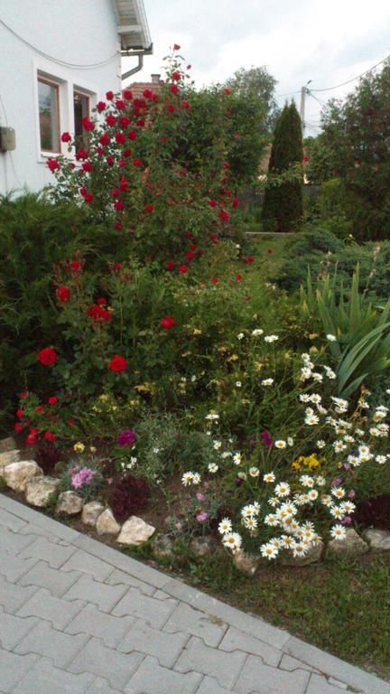 Becze Vanda Kulcsoshaz Lazarea Екстер'єр фото